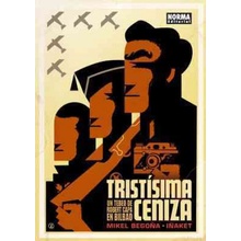 Tristísima ceniza, Un tebeo de Robert Capa en Bilbao