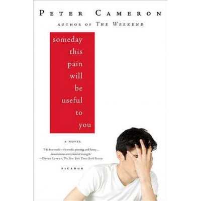 Picador USA SOMEDAY THIS PAIN WILL BE USEFUL TO YOU | Peter Cameron
