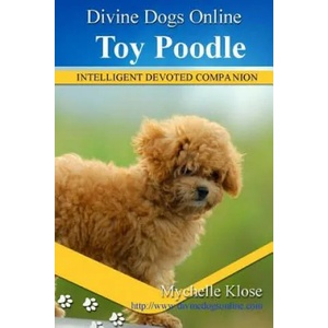 Toy Poodles | Mychelle Klose (ISBN: 9781533437501)