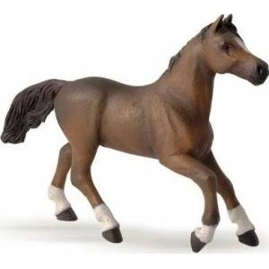 Papo Anglo-Arabian mare
