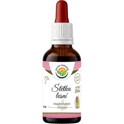Salvia Paradise Štětka lesní AF tinktura 50 ml