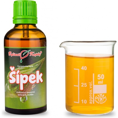 Růže šípková (šípek) tinktura z pupenů (gemmoterapie) 50 ml doplněk stravy