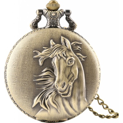 Amparo Miranda Horse