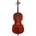 Luthier Academy - 1/4