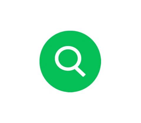 UltraSearch Professional