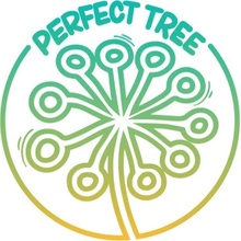 Perfect Tree Lime Ozz semena neobsahují THC 6 ks