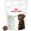 Royal Canin Роял Канин Дигестион за възрастни кучета 160 г