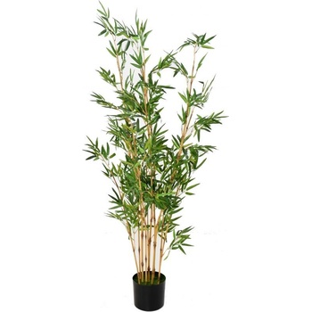 Bambus strom, 150cm