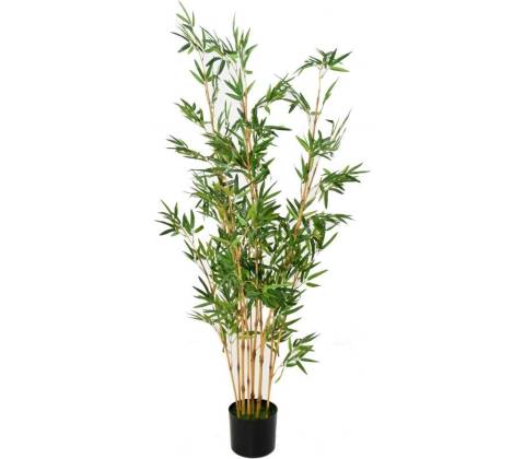 Bambus strom, 150cm