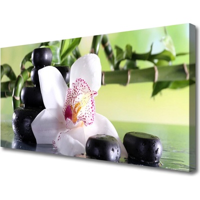 Obraz Canvas Orchidea kamene bambus 100x50 cm