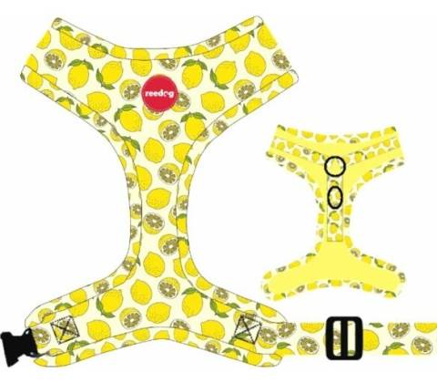 Reedog LEMON
