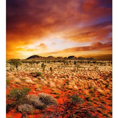 Dimex MS-3-0050 vliesová fototapeta na zeď Austrália rozmery 225 x 250 cm