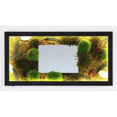 LEDmech Mechový obraz s LED osvětlením a zrcadlem 80 x 40 cm
