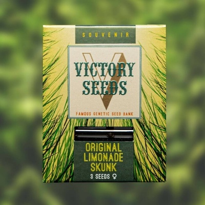 Victory Seeds Original Limonade Skunk semienka neobsahujú THC 3 ks