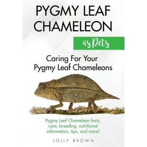 Pygmy Leaf Chameleons as Pets: Pygmy Leaf facts, care, breeding, nutritional information, tips, and more! Caring For Your Pygmy Leaf Chameleons | Lolly Brown (2017)