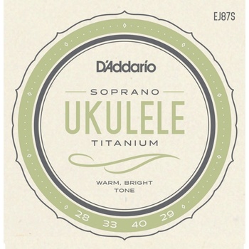 D'Addario EJ87S