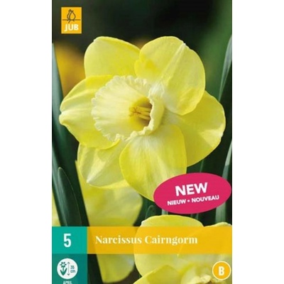 JUB Narcis Cairngorm