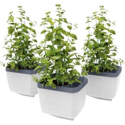 Gusta Garden GG-124F11