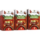 Sonnentor Adventní kalendář čajový BIO - 24 nálevových sáčků - pošk. obal