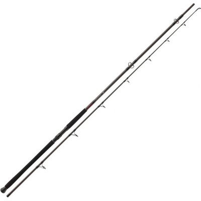 Daiwa EXCELER CATFISH BOJE 3,3 m 200-600 g 2 díly