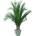 Phoenix palm tree 150 cm