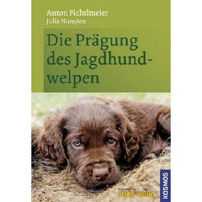 Die Prägung des Jagdhundwelpen - Anton Fichtlmeier