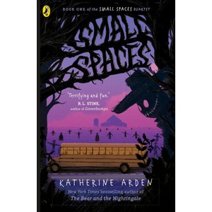 Small Spaces (ISBN: 9780241795071)