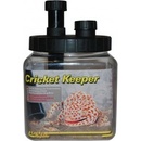 Lucky Reptile Cricket Keeper