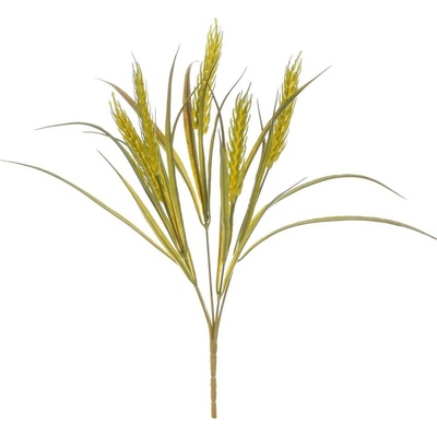 ZÁPICH JAČMEŇ ZELENÝ 38CM