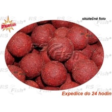 Dynamite Baits Boilies Robin Red 1kg 20 mm