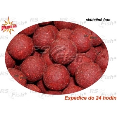 Dynamite Baits Boilies Robin Red 1kg 20 mm