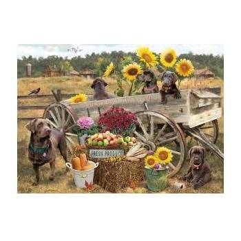 Cobble Hill Puzzle 500 Labradors from the cart, horses feel lighter G3
