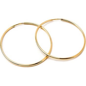 iZlato Forever zlaté náušnice kruhy 4. IZ23745