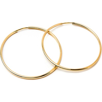 iZlato Forever zlaté náušnice kruhy 4. IZ23745