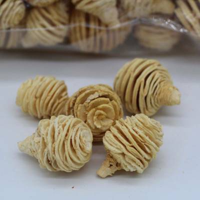 Platyspernum loose medium bleached 500 gr