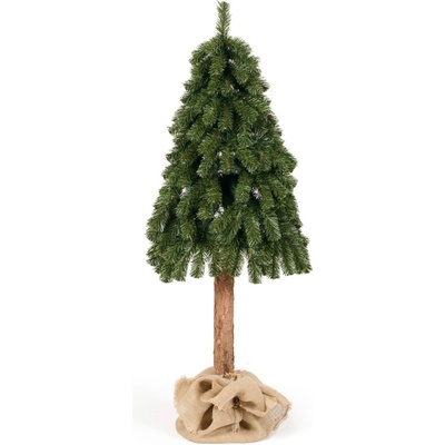 JUNIOR Stromeček vánoční Smrk horský 150 cm