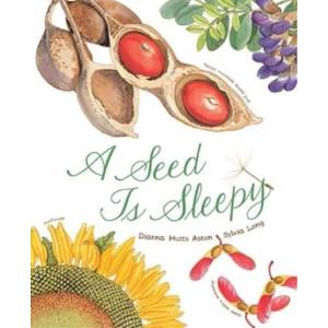 Seed Is Sleepy (2014)