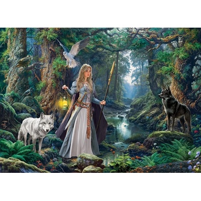 EUROGRAPHICS Fantasy les 1000 dílků