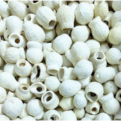 BELLGUMS LOOSE BLEACHED ( 20kg )