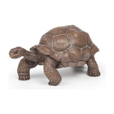Papo - Фигурка за колекциониране и игра - Костенурка галапагос (50161)