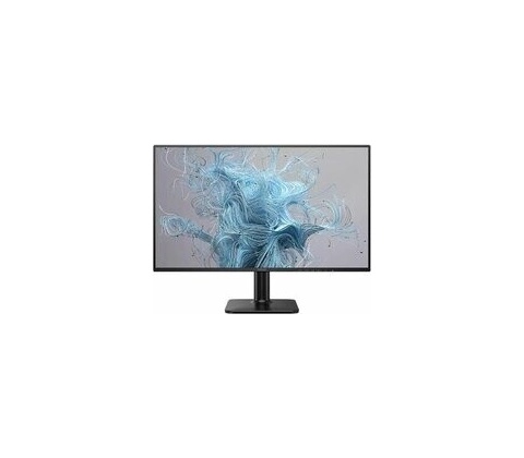Philips 24E2N1110