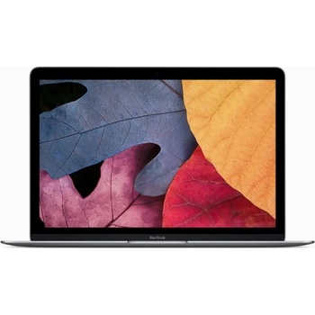 Apple MacBook 12 Z0SL0002Z/BG