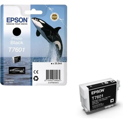 Epson T7601