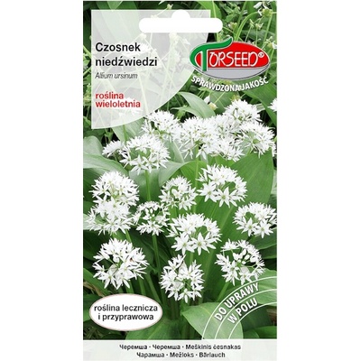 Semená medvedieho cesnaku Allium ursinum 0,5 g