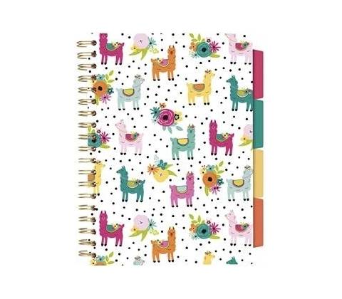 Pukka Pad B5
