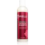 MIELLE Mongongo Oil Exfoliating Shampoo ексфолиращ шампоан 240ml