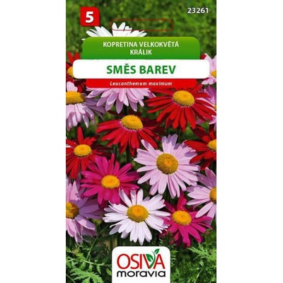 Osiva Moravia Kopretina velkokvětá - směs barev
