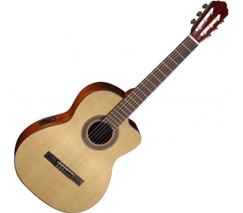 Cort AC120CE