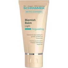 Dr. med. Christine Schrammek Regulating Blemish Balm Light 40 ml