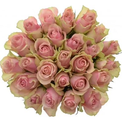 Kytice 25 růžových růží BELLE ROSE 60cm